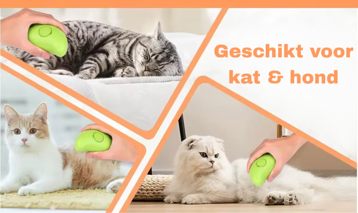 Mango Mist Brush kat & hond