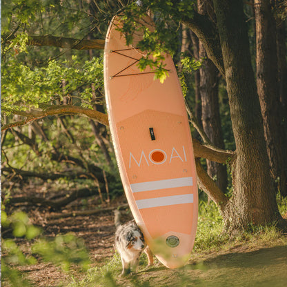 MOAI Beach Vibes SUP 10'6 Dawn Package 320